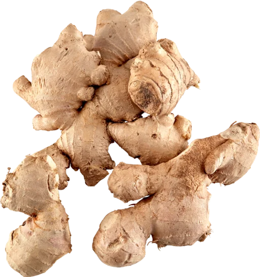 Gengibre