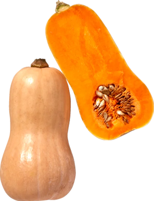 ABÓBORA BUTTERNUT 