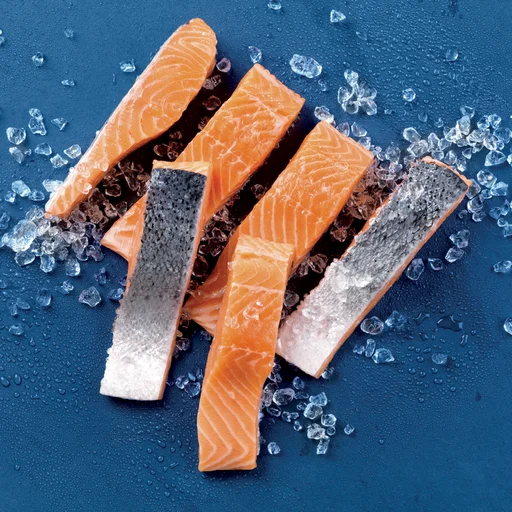 PORÇÃO DE SALMÃO