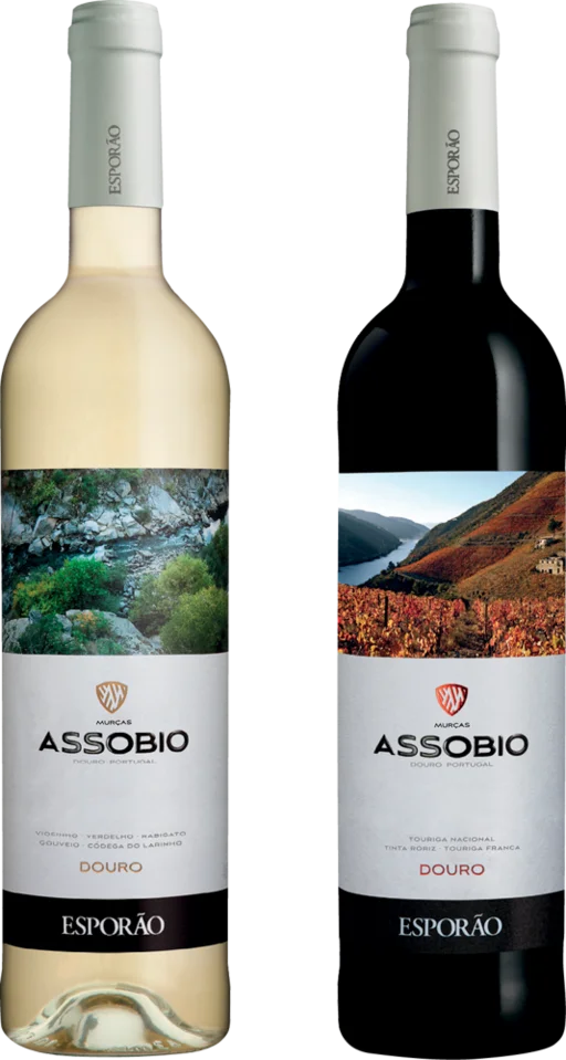 VINHO