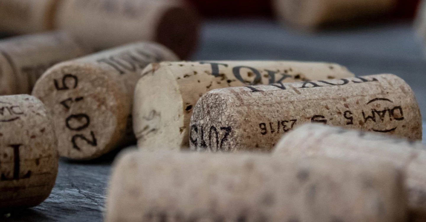 Recolha Rolhas De Cortica