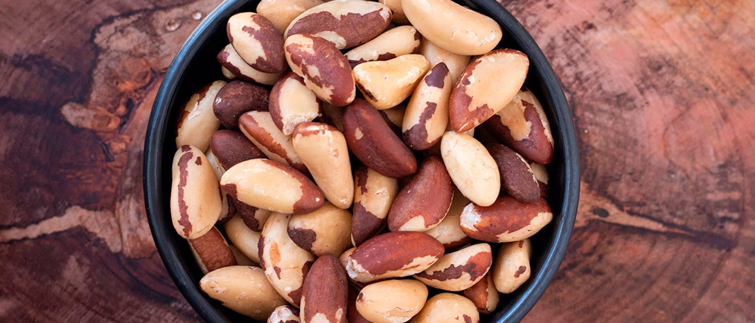 Castanha do Brasil (Pará ou Maranhão)