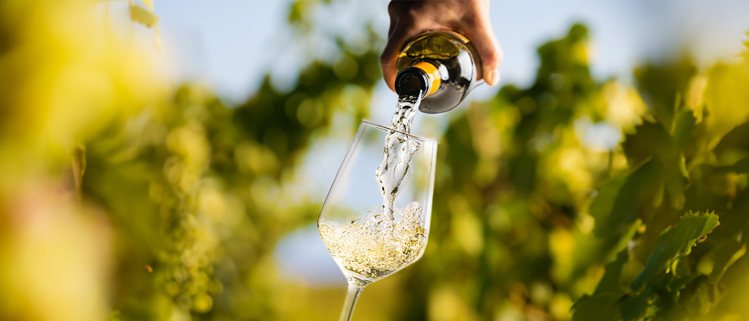 Vinhos monocasta