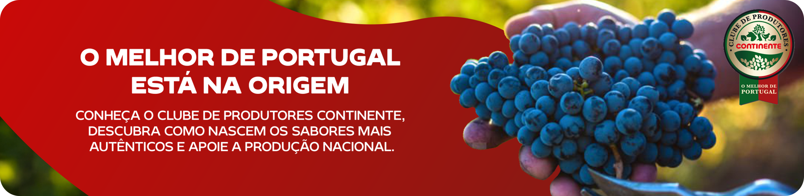 Model.ImageMobile.AltText