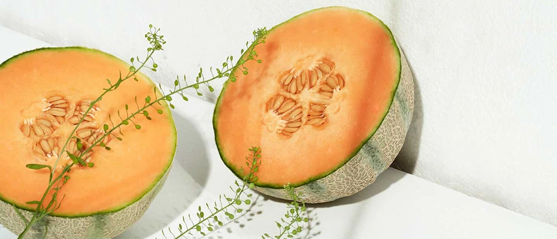 Meloa: calorias, benefícios, receitas e tipos