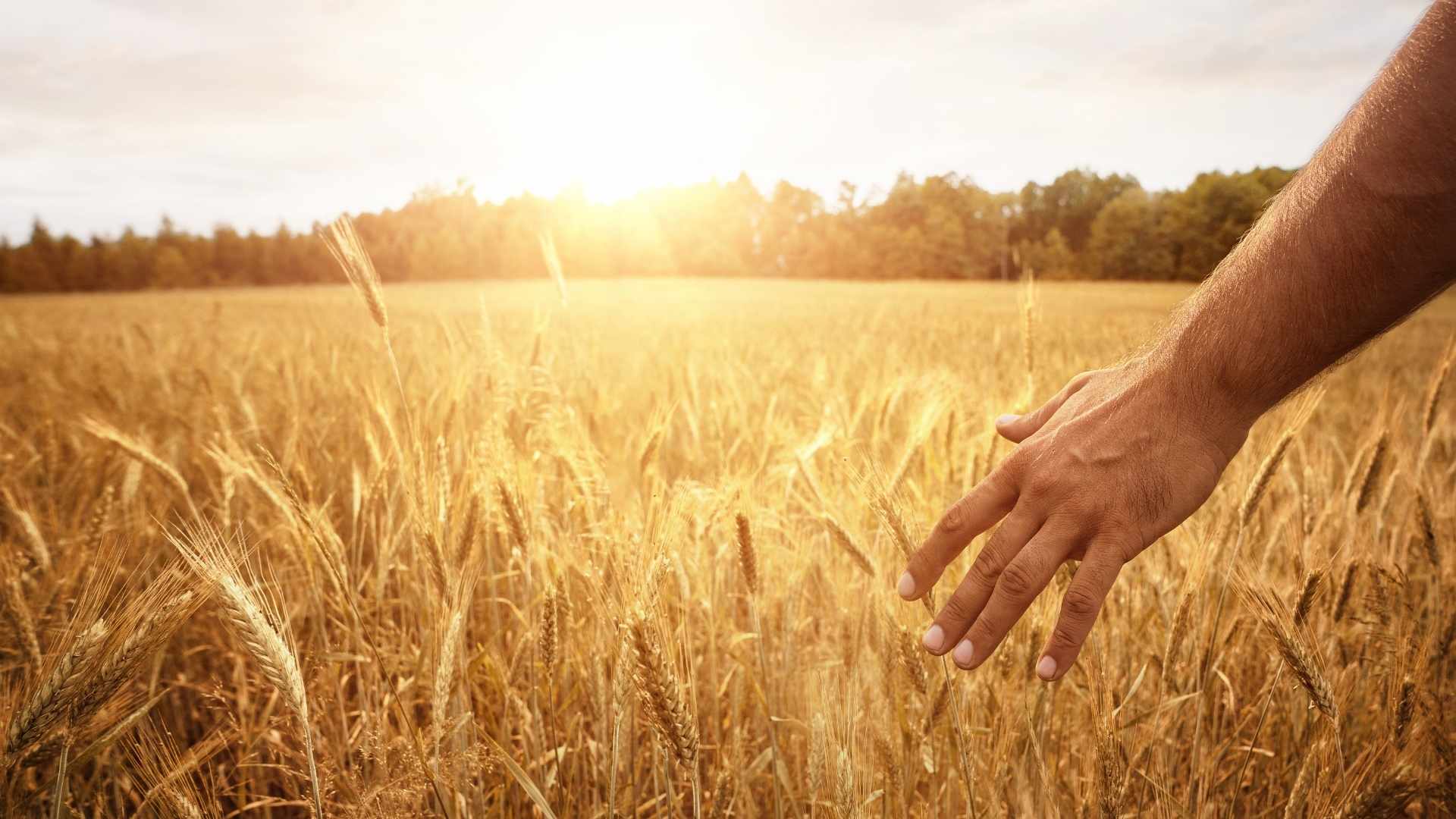 Grande Inquerito Sustentabilidade