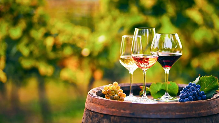 Vinhos Vegan