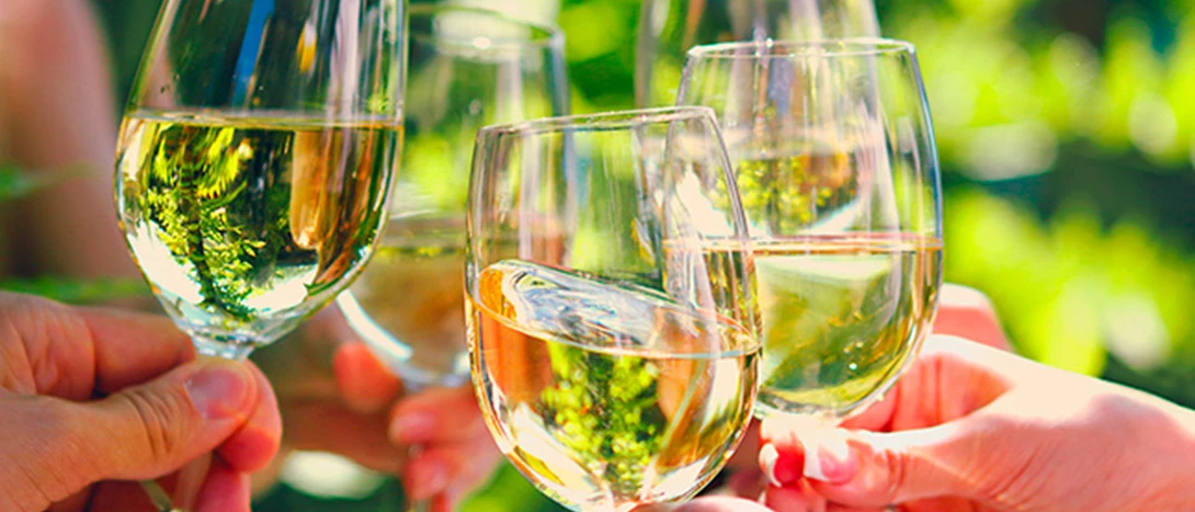 Vinhos de Verão