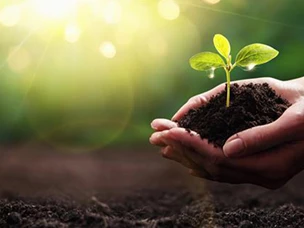 Sustentabilidade: o que é