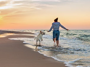 Praias Pet Friendly em Portugal