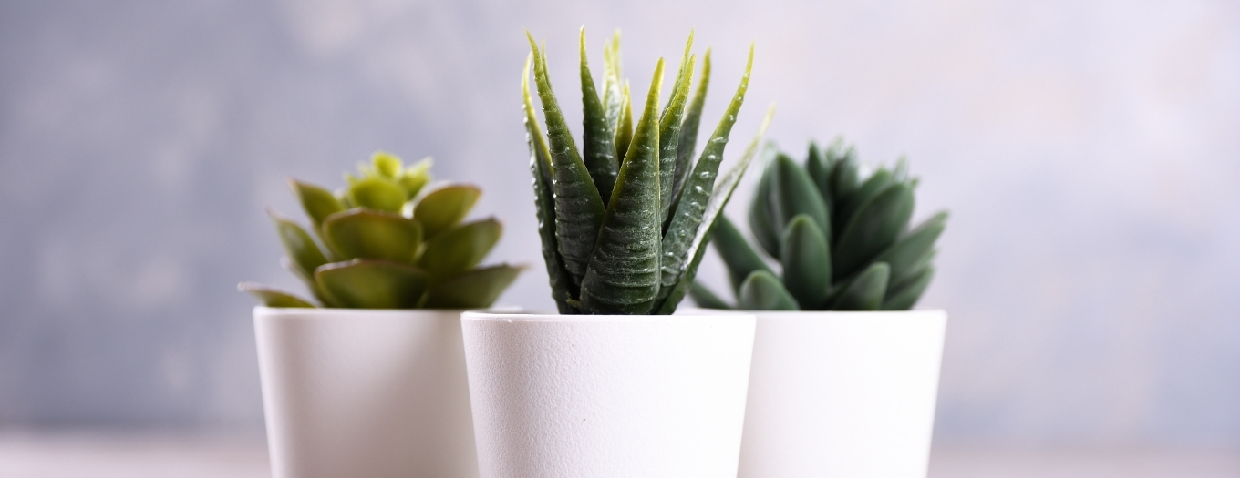 Decoracao Plantas Artificiais