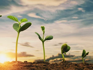 Agricultura regenerativa