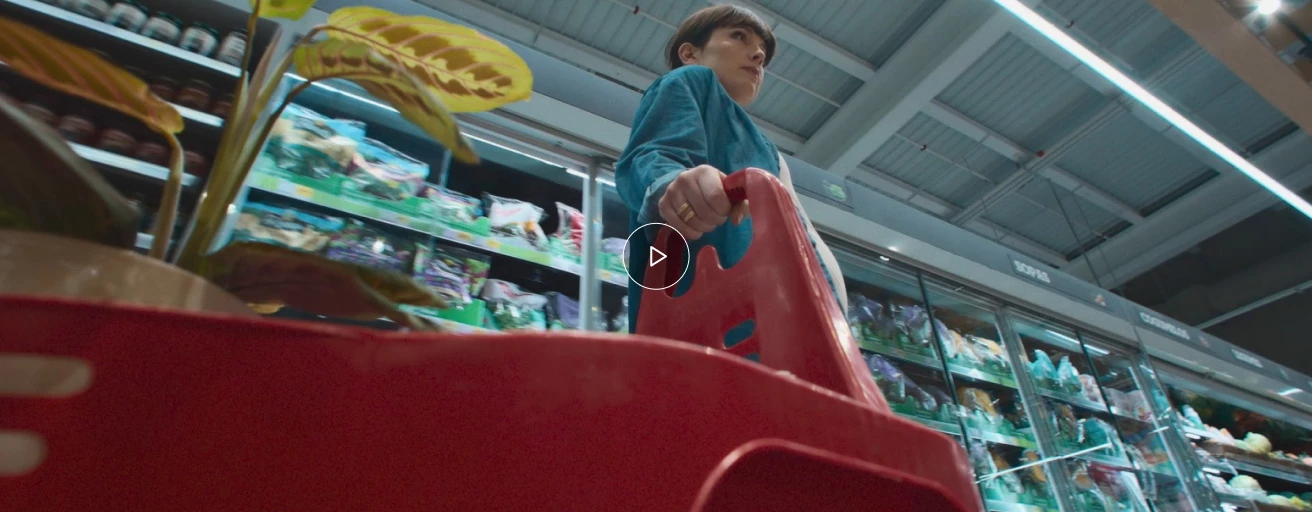 Model.ImageMobile.AltText