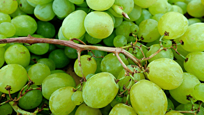 uvas brancas